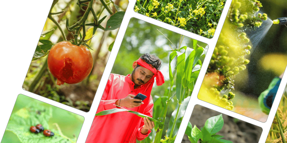 KisanSat Services Hero Image